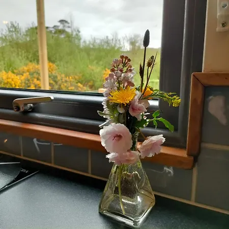 Dingle Way Glamping Danu Annascaul * Tralee