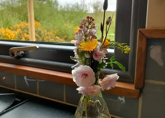 Dingle Way Glamping Danu Annascaul * Tralee